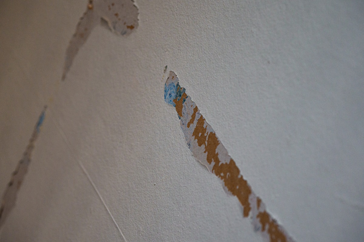 Flood Cleanup service in Springfield, OR